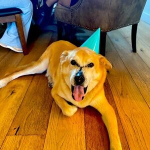 Meet your Posher, Marcy